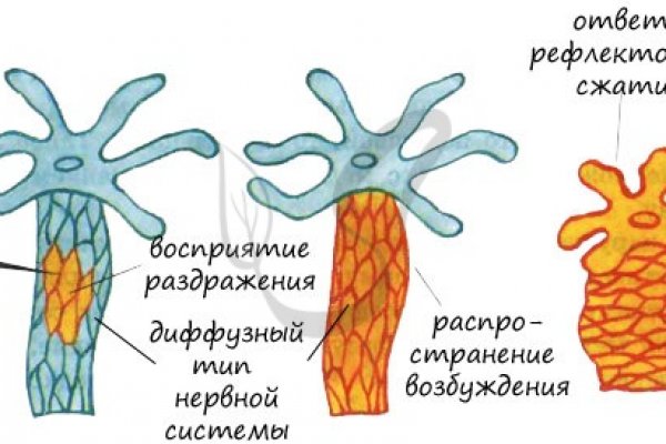 Кракен сайт at