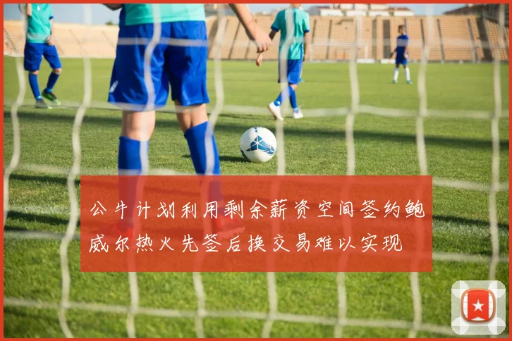 公牛计划利用剩余薪资空间签约鲍威尔热火先签后换交易难以实现