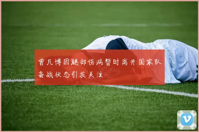 曾凡博因腿部伤病暂时离开国家队备战状态引发关注